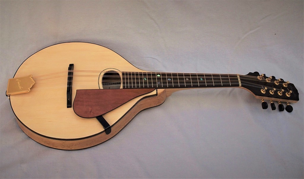 Custom mandolin