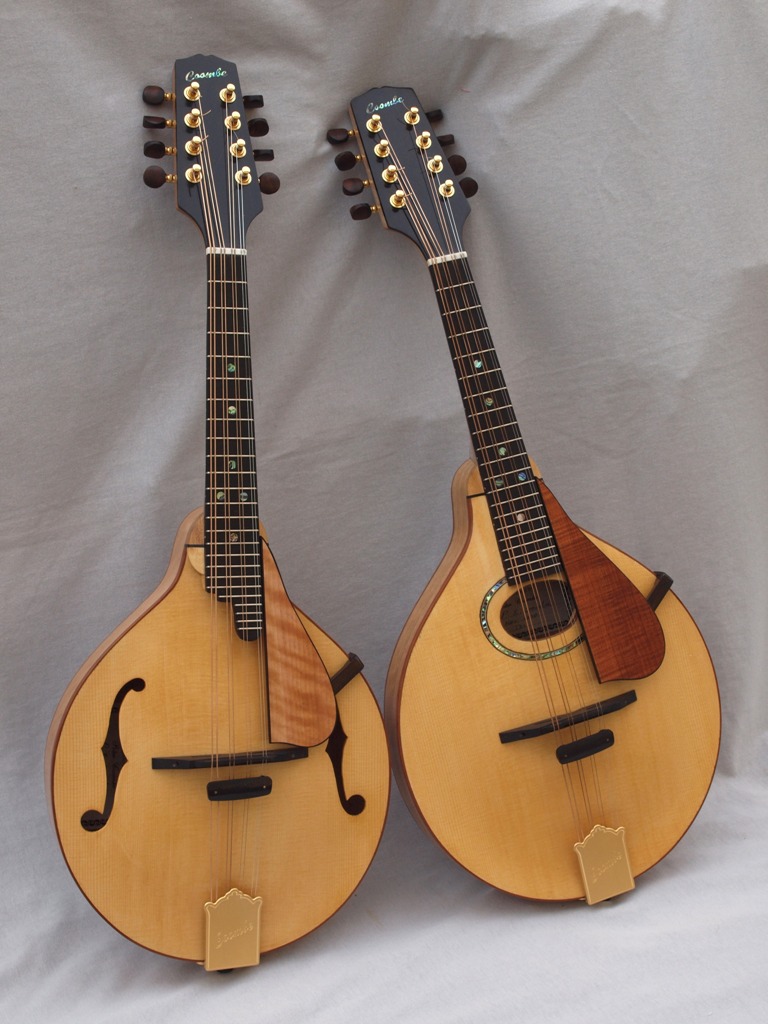 Ash mandolins
