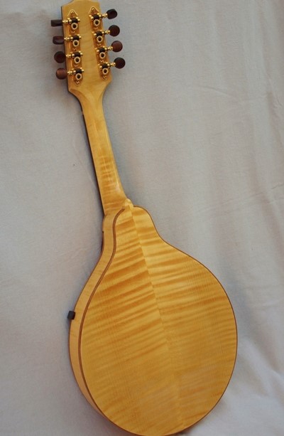 Blonde European Maple