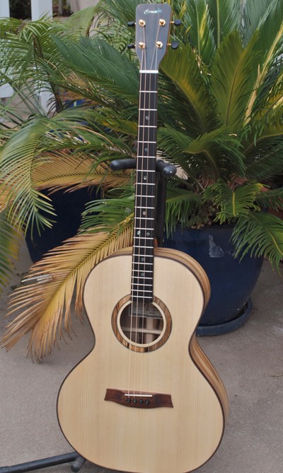 Tenor guitar 23in scale length